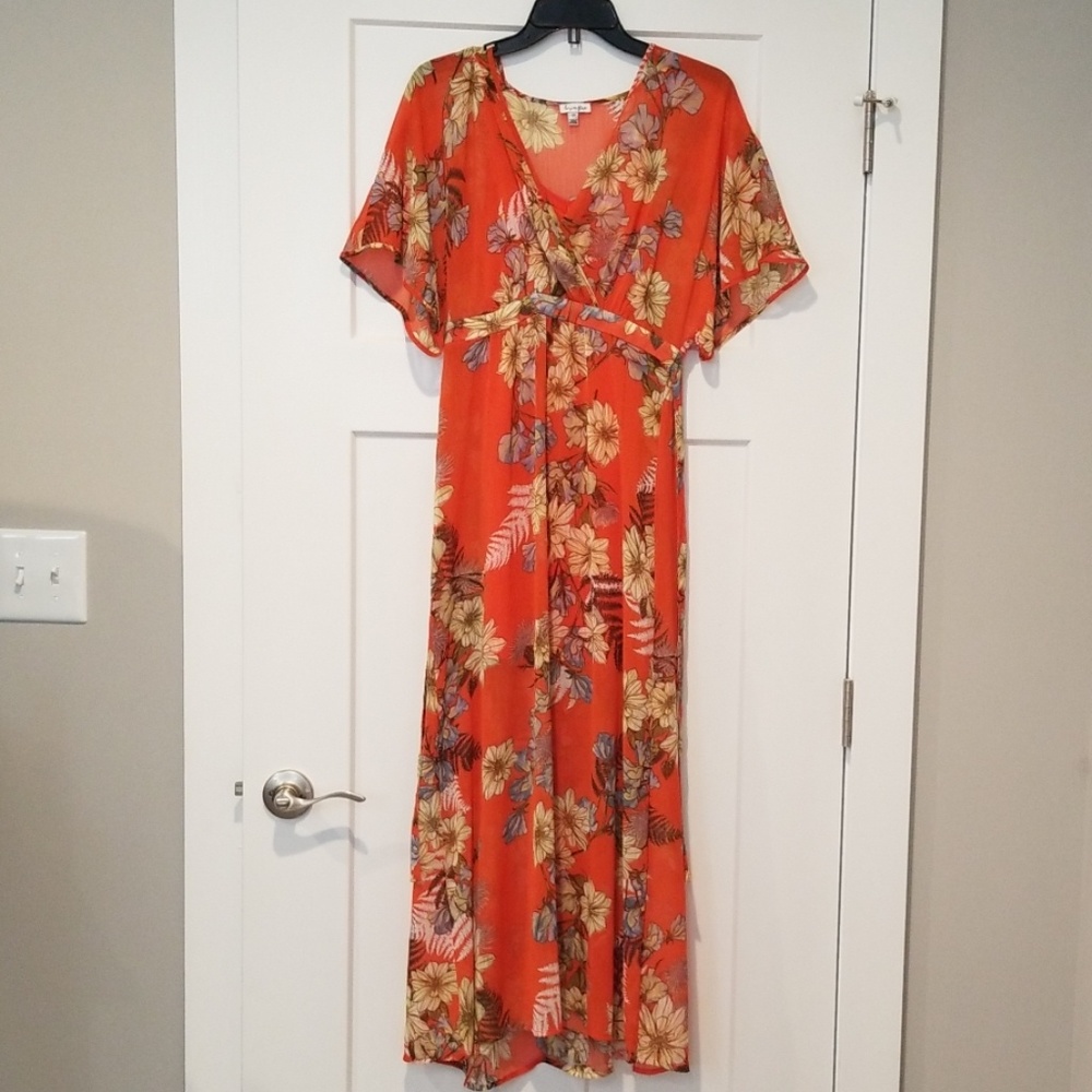 Sheer Dress with Built in Slip